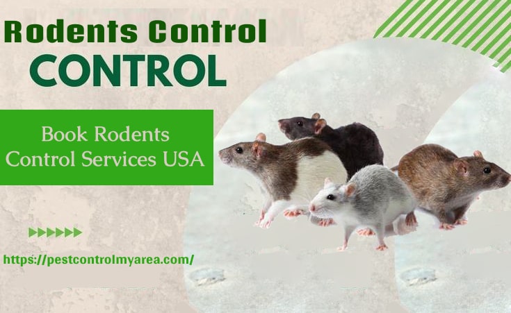 Rodents Control USA