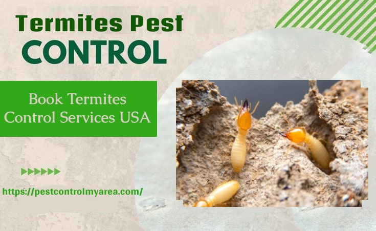 Termites Control USA