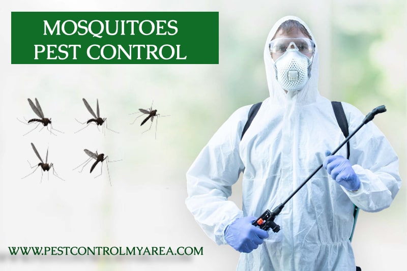 Mosquitoes Pest Control Service