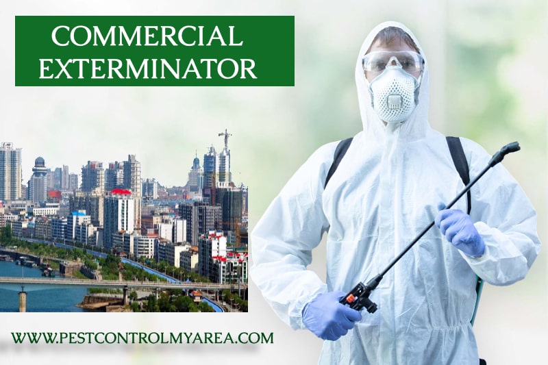 Commercial Exterminator Service