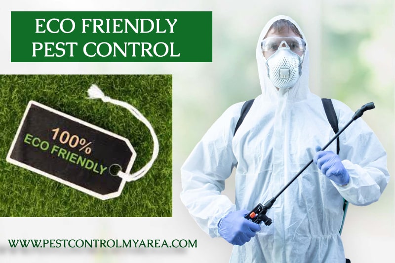 Ecofriendly Pest Control Service 