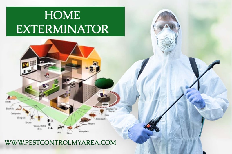 Home Exterminator Service